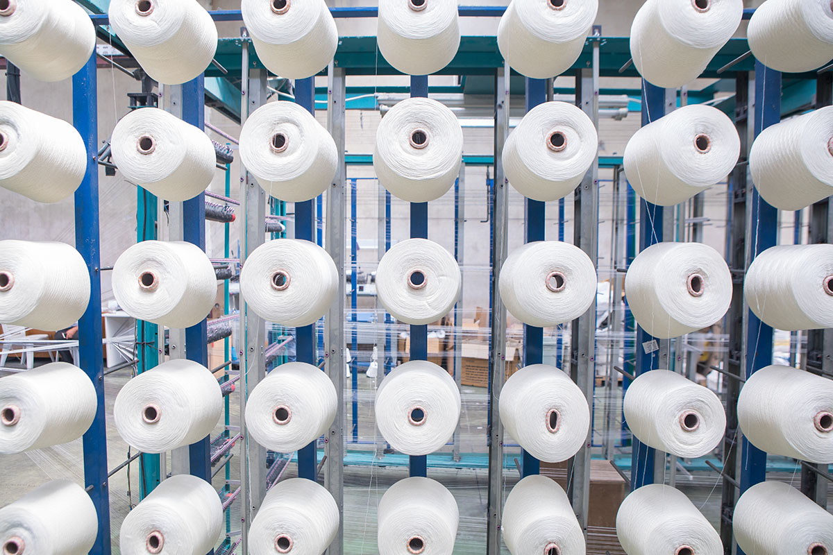 Rows of white yarn cones mounted on the blue steel frame of a warping machine in a textile mill