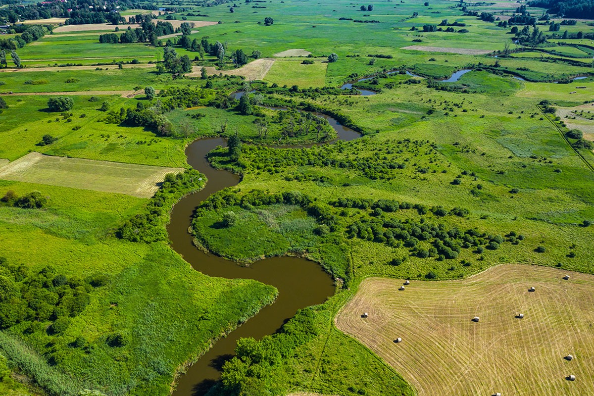 The ISSB's Nature Draft Asks Which of Your Assets Are Exposed to Nature Risk